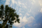 仰望天空