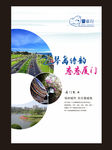 厦门旅游海报