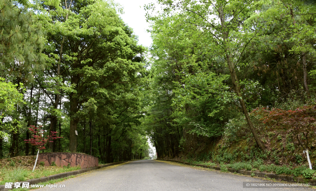 路