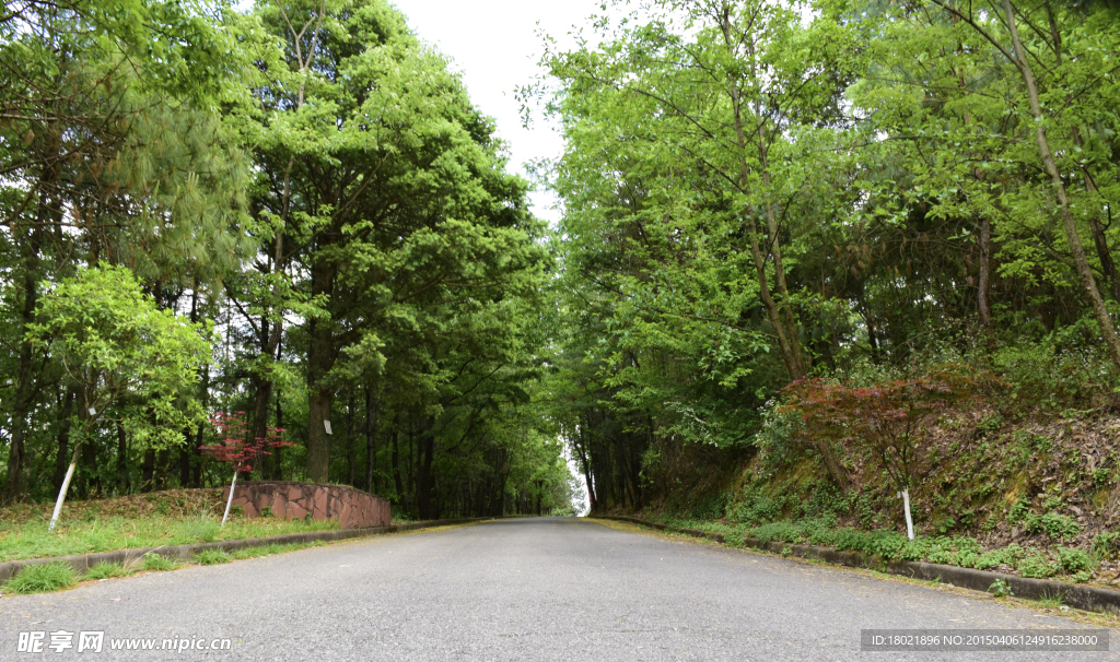 山路景观