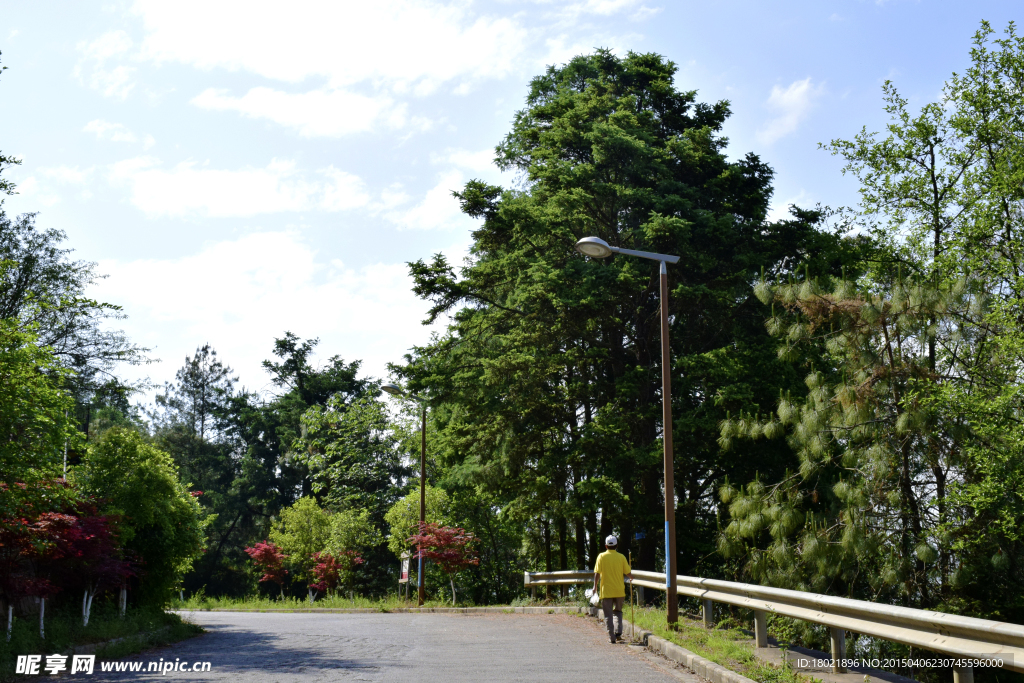 山路景观