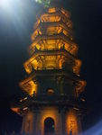 夜光下的塔