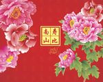 女士寿宴