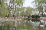 小湖