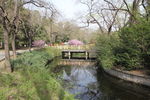 北京动物园河道