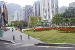 深圳街景