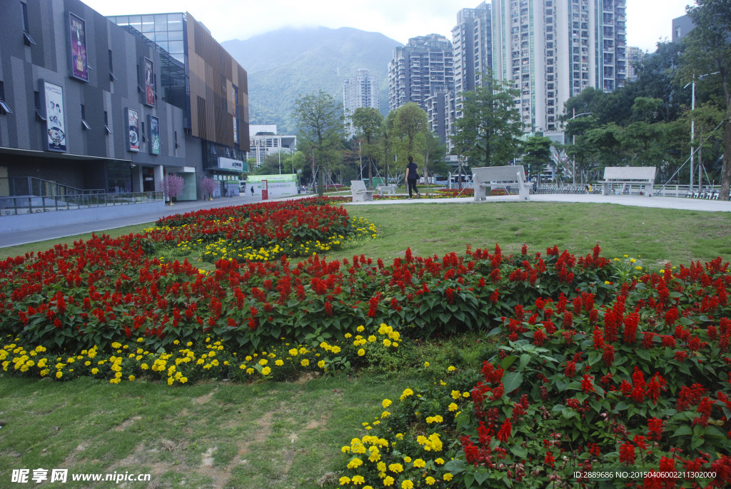 深圳街景