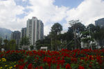 深圳街景