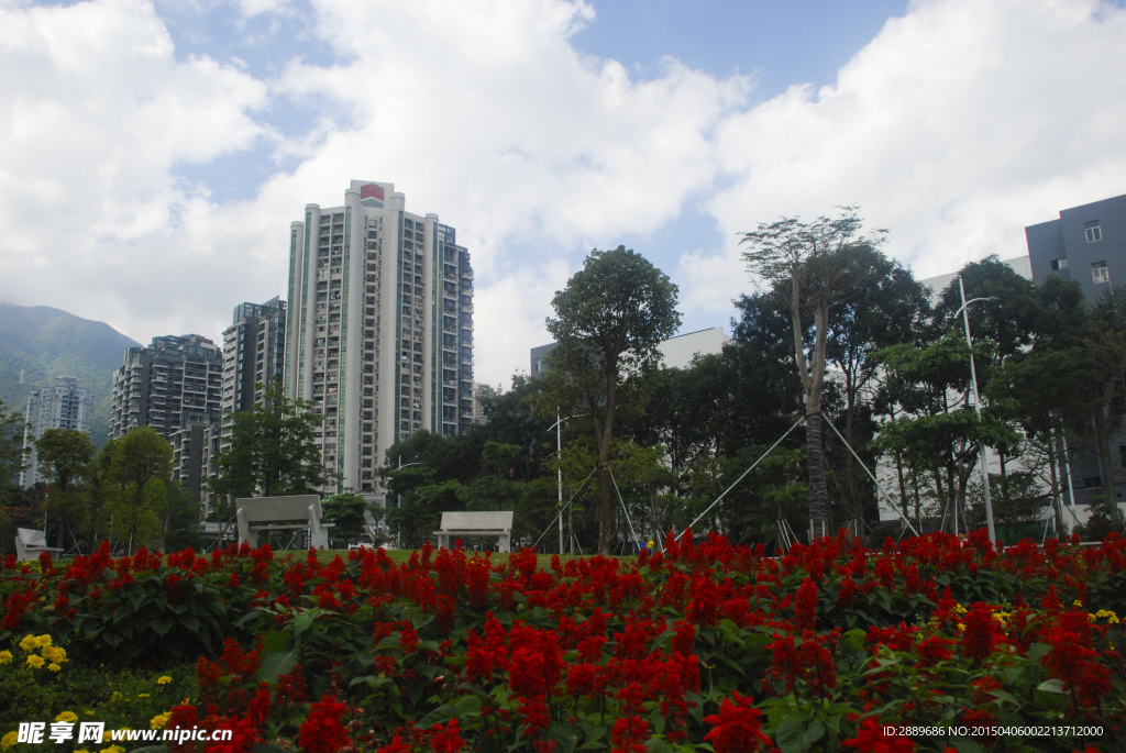 深圳街景