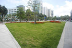 深圳街景
