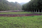 园林景观