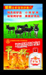 驴肉广告