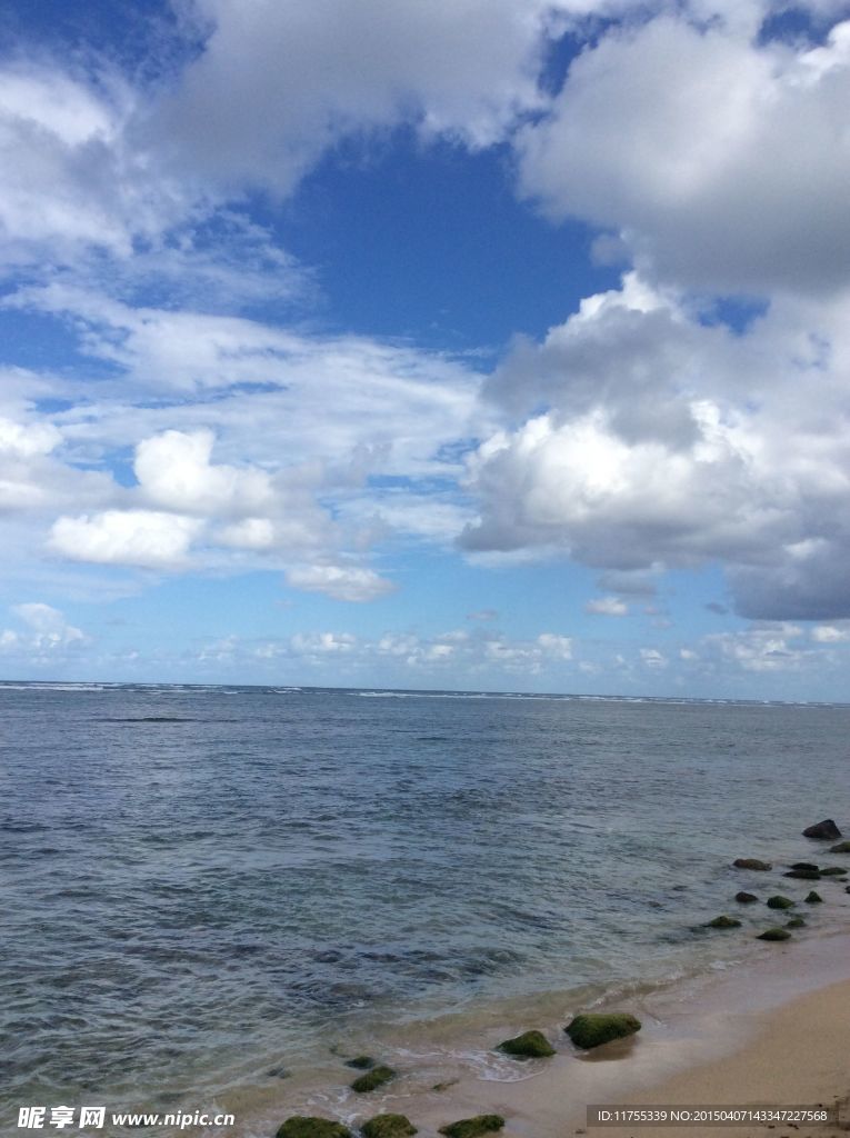 大海