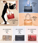 女包关联图片