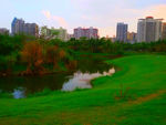 湖畔风景