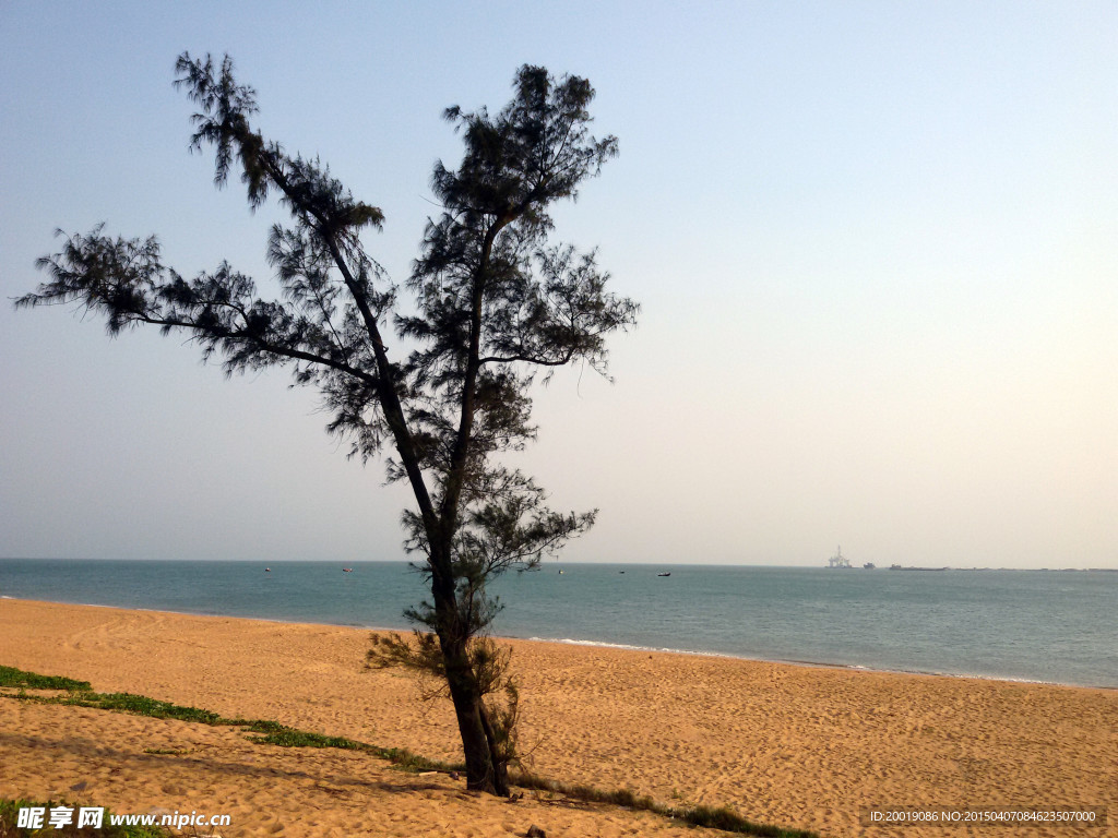 海岸风景