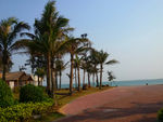 海岸