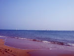 大海