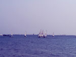 大海