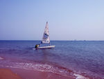 大海  帆船