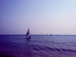 大海