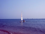 大海