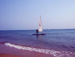 大海