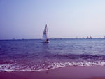大海
