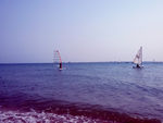 大海