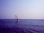 大海