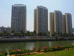 高楼景观