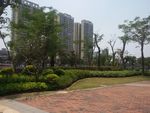 小区景观