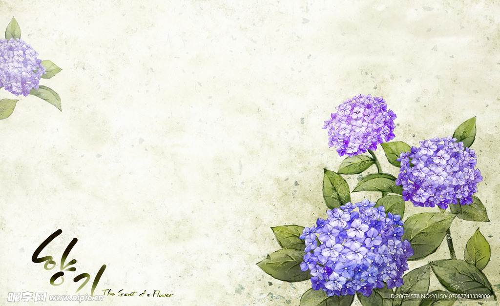 角花