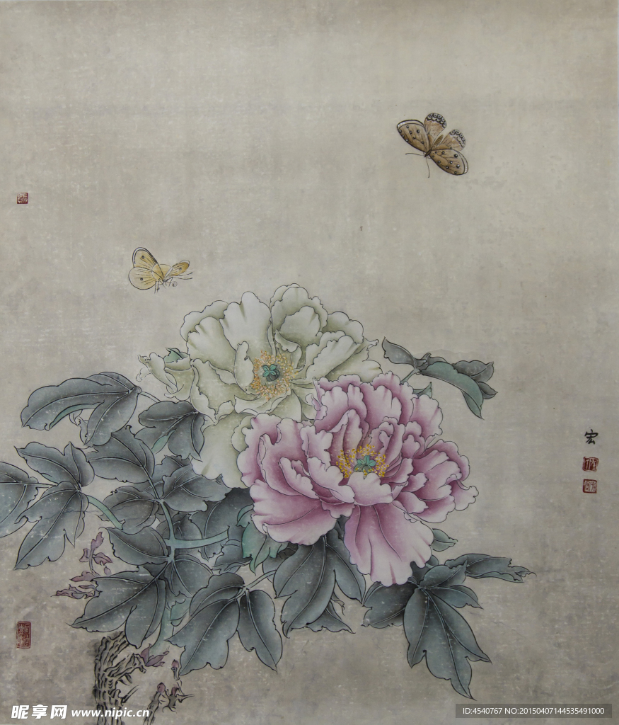 牡丹