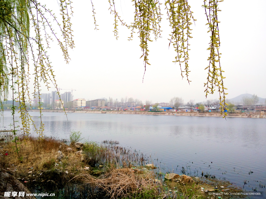 河岸风景