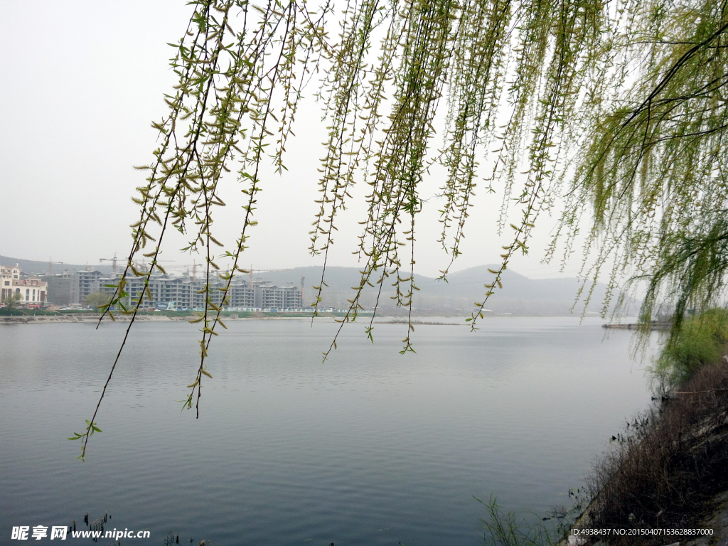 河岸风景