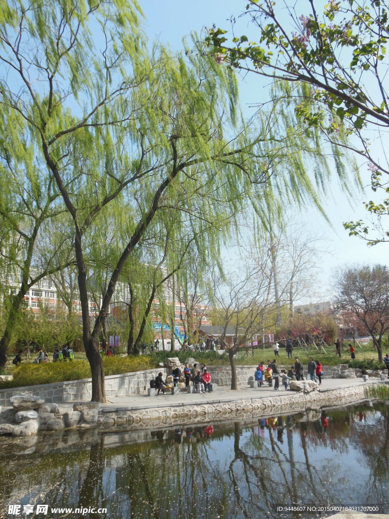 公园风景图