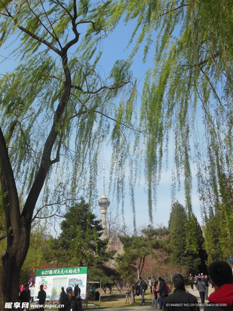公园风景图