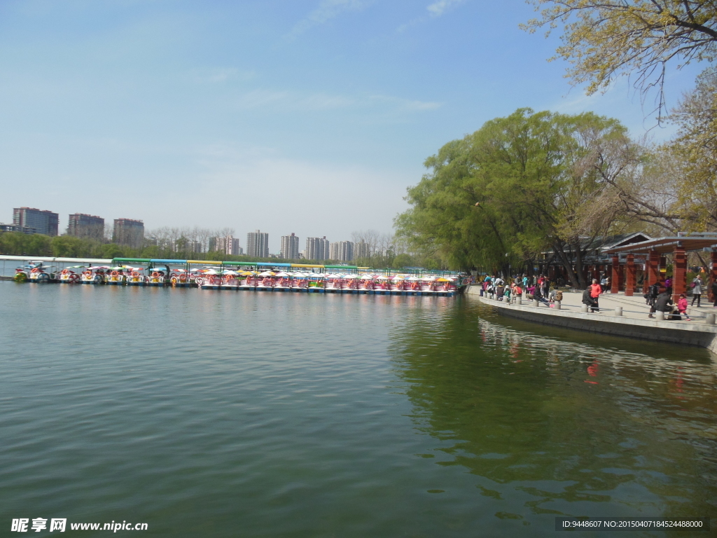 公园风景