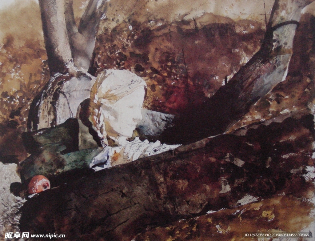 安德鲁 怀斯 水彩 美国水彩