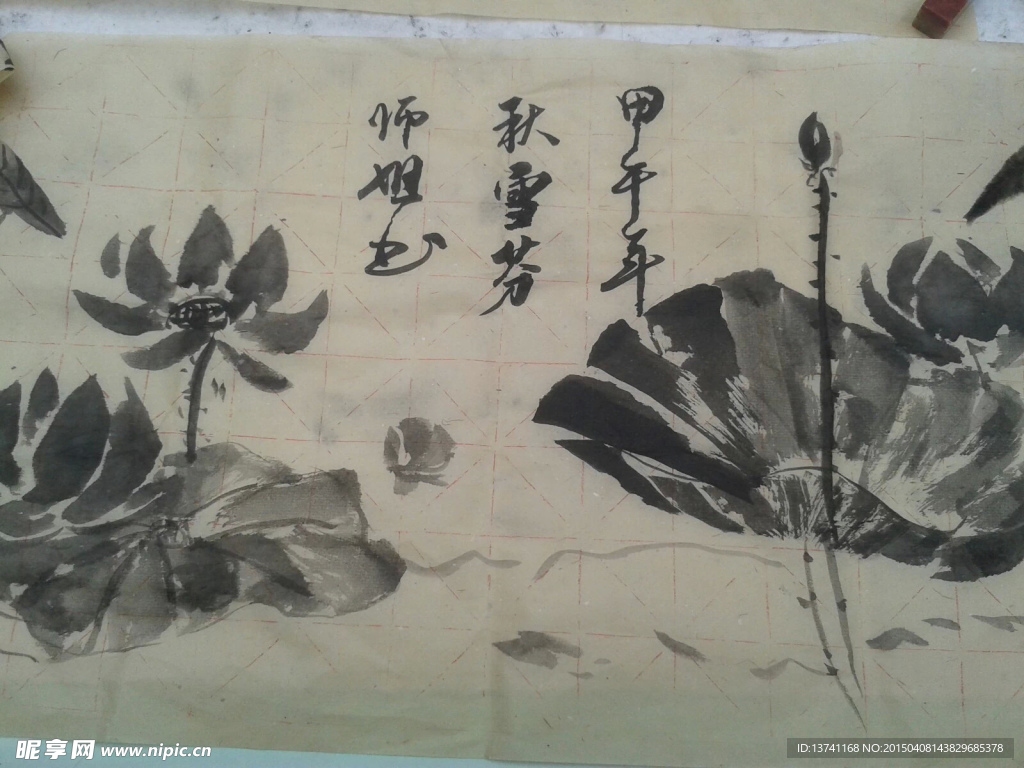 荷花 国画