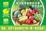 水果海报