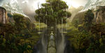 雨中大树