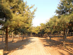 小路