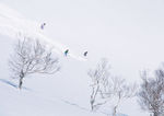滑雪
