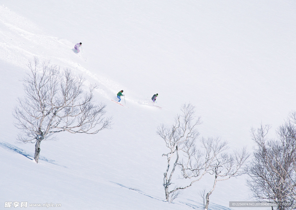 滑雪