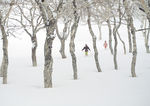 滑雪