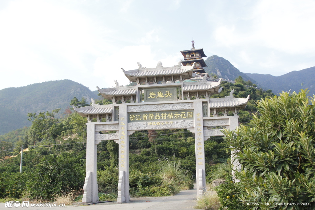 岩鱼头蜜桔