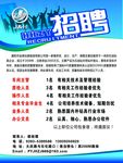招聘图片