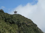 坡上草原